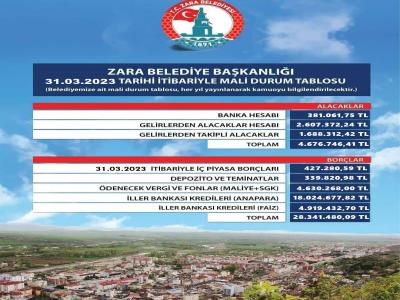 T.C Zara Belediyesi 2023 Yılı Mali Durum Tablosu