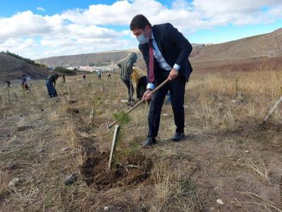 T.C. Atatürk Hatıra Ormanında Bakım ve Tamamlama Çalışmaları