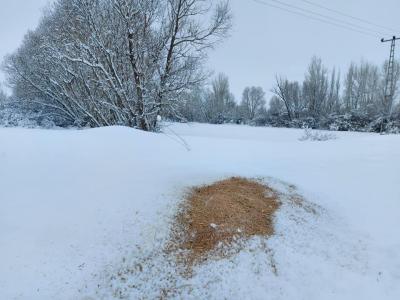 Dağlara Buğday Serpin, Müslüman Ülke'de Kuşlar Aç Kaldı Demesinler