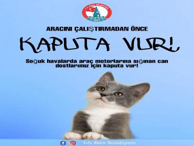 Aracını çalıştırmadan önce KAPUTA VUR!