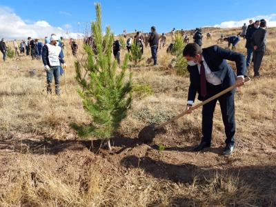 🌳Bugün Fidan, Yarın Nefes🌳